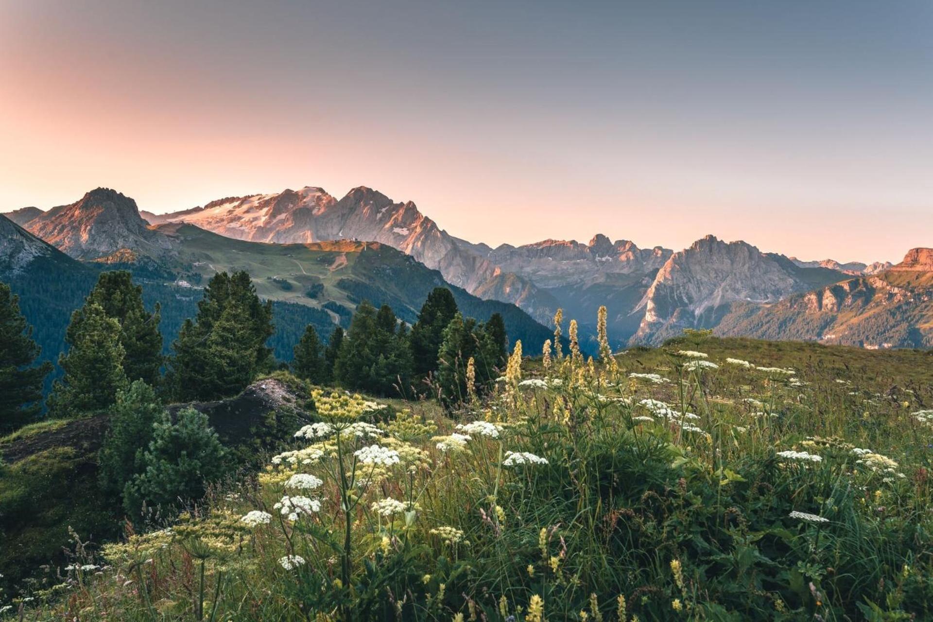 B&B Cesa Planber Mountain View Bike Friendly Canazei Exteriör bild