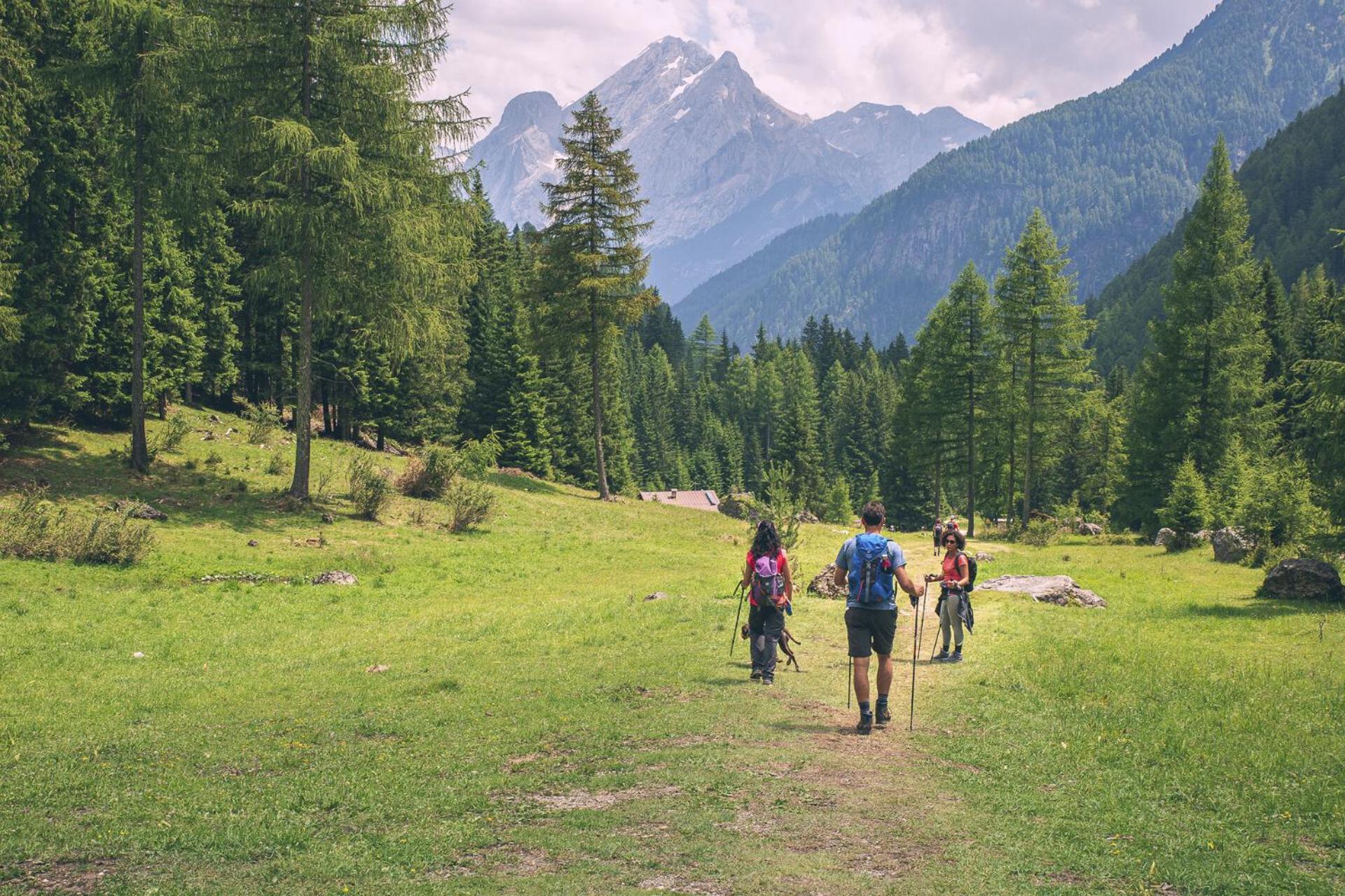B&B Cesa Planber Mountain View Bike Friendly Canazei Exteriör bild